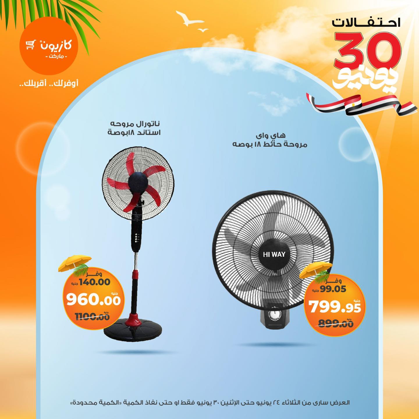 kazyon offers from 23jun to 3jun 2025 عروض كازيون من 23 يونيو حتى 3 يونيو 2025 صفحة رقم 3
